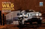 Ford F-150 SuperCrew Cab 2009 года
